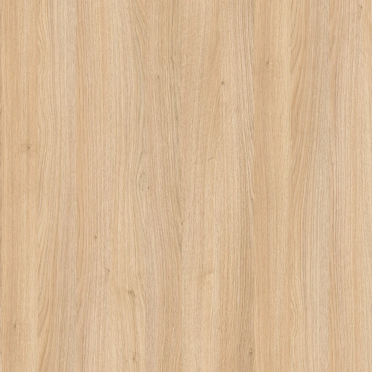 Fine Oak Grain STD Particleboard 18mm x 2400x1200mm